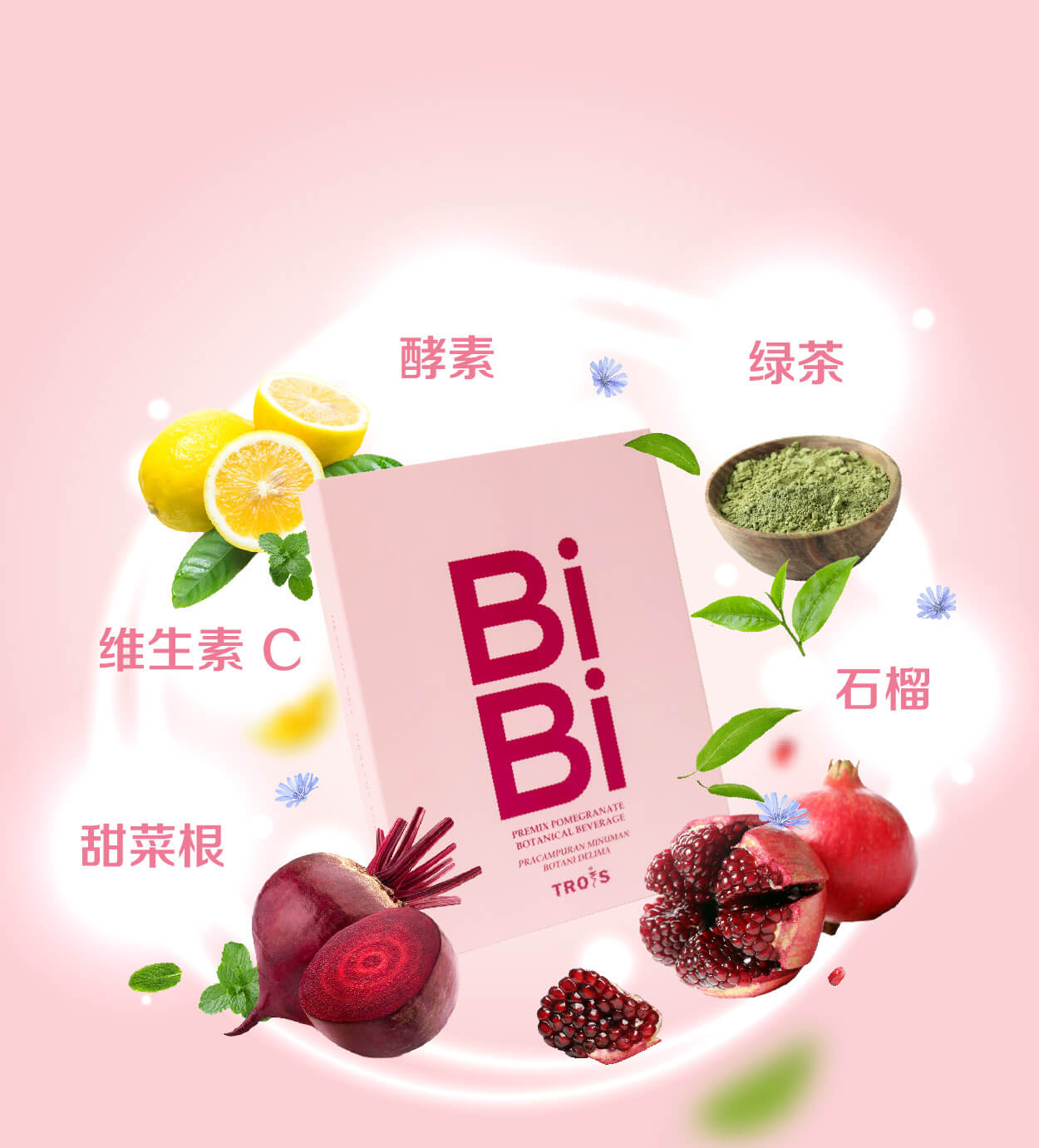 BiBi